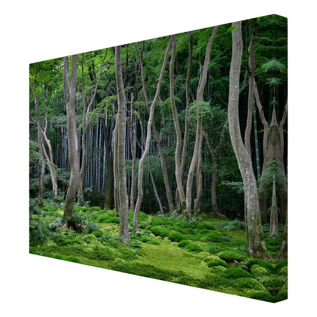 Schöne Leinwandbilder Japanischer Wald