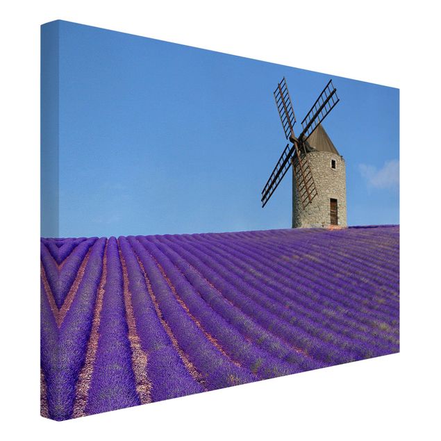 Schöne Wandbilder Lavendelduft in der Provence