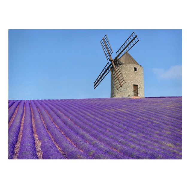 Bilder auf Leinwand Lavendelduft in der Provence