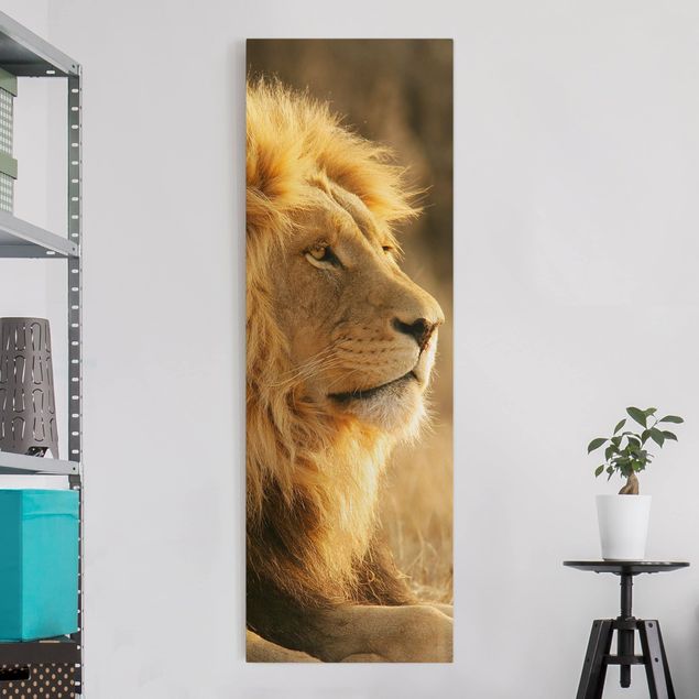 Wandbilder Tiere Löwenkönig