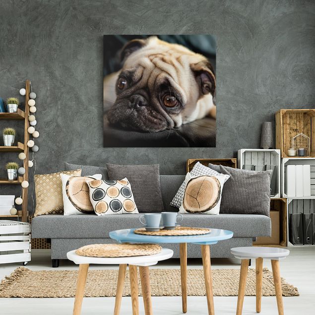Wandbilder Hund Nachdenklicher Mops