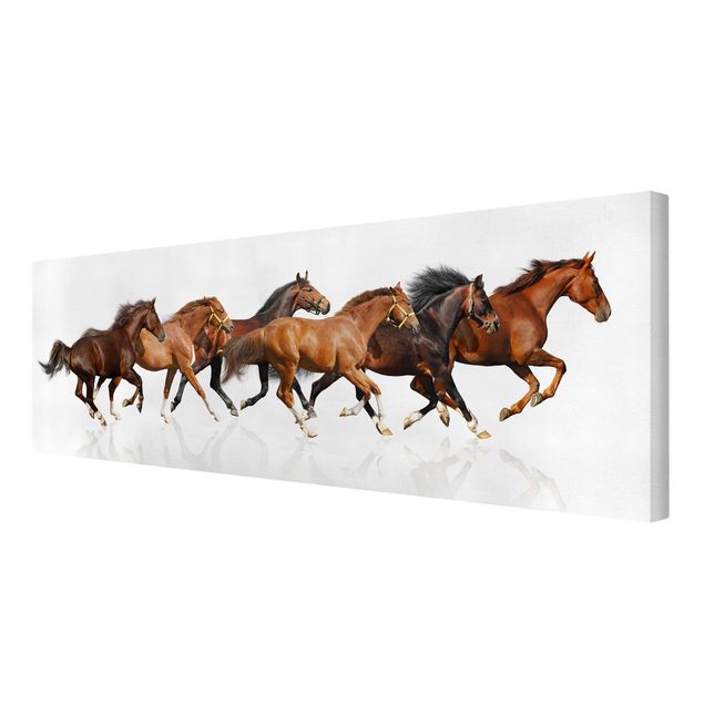 Postereck 3564 Poster & Leinwand Panorama Pferde Herde Tier Natur Mähne