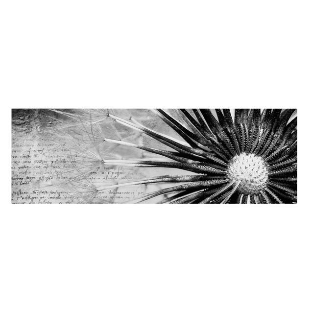 Leinwandbild Schwarz-Weiß - Pusteblume Schwarz & Weiß - Panoramabild Quer
