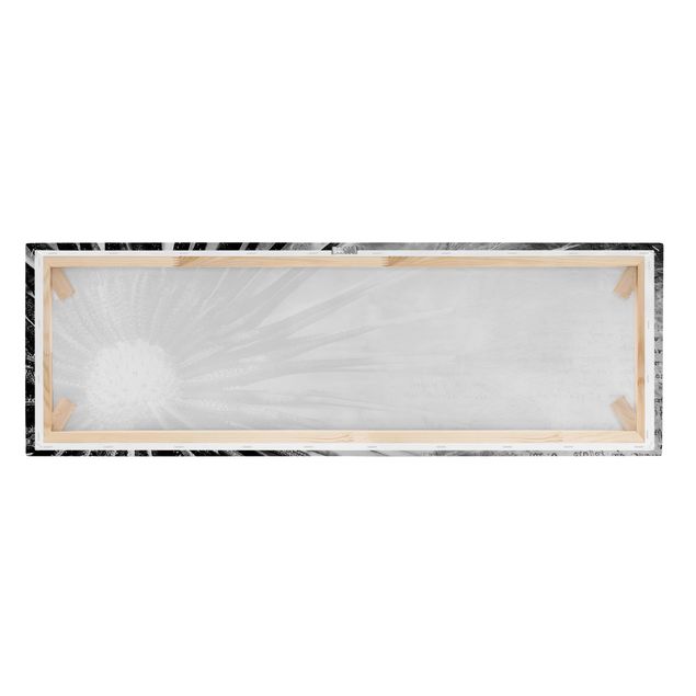Leinwandbild Schwarz-Weiß - Pusteblume Schwarz & Weiß - Panoramabild Quer