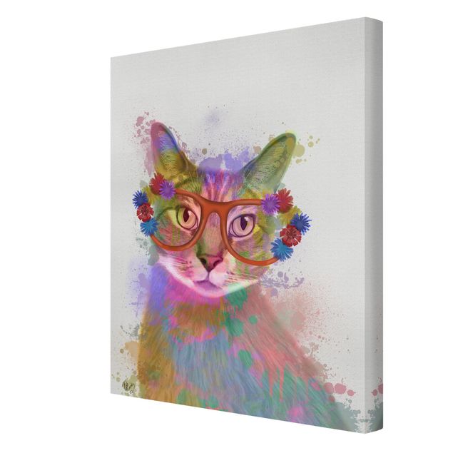 Bilder für die Wand Regenbogen Splash Katze