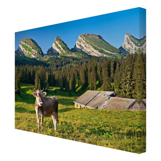 Tierbilder auf Leinwand Schweizer Almwiese mit Kuh