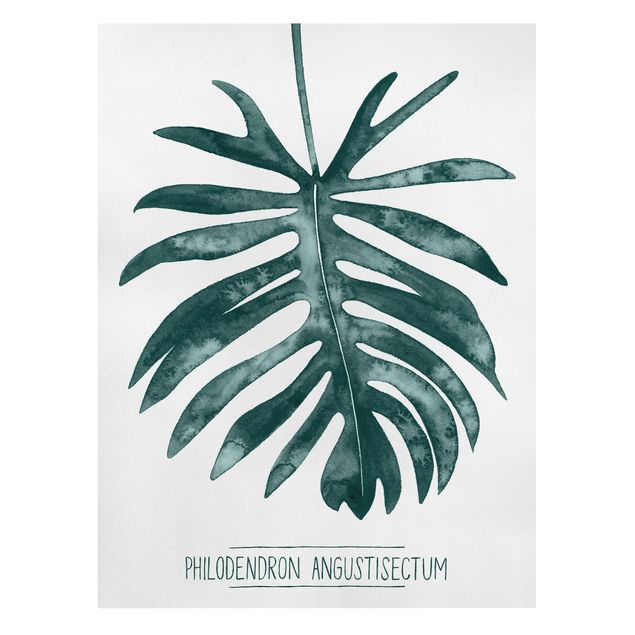 Wandbilder Smaragdgrüner Philodendron Angustisectum