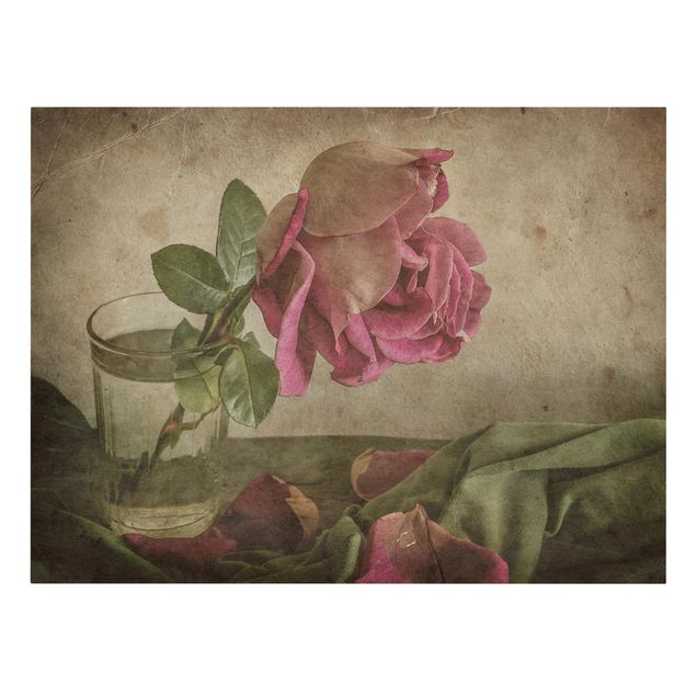 Schöne Wandbilder Tear of a Rose