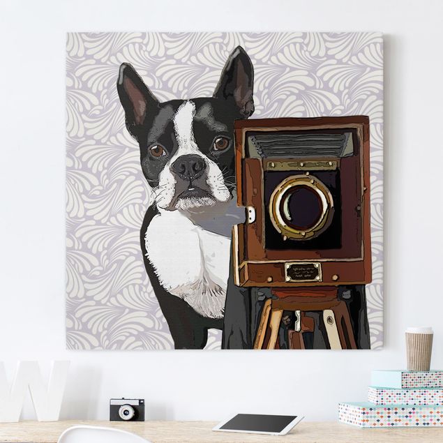 Wandbilder Hund Tierfotograf Terrier