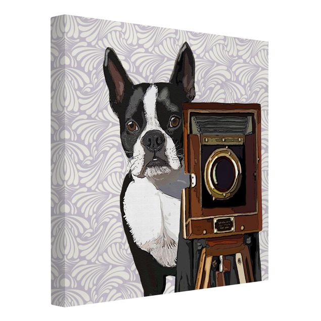 Kunstdrucke auf Leinwand Tierfotograf Terrier