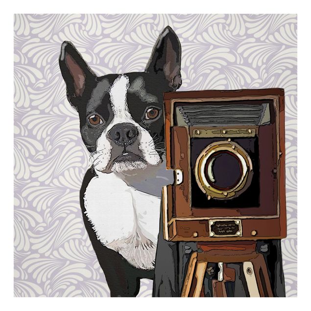 Wandbilder Vintage Tierfotograf Terrier