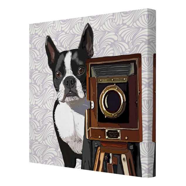Wandbilder Tiere Tierfotograf Terrier
