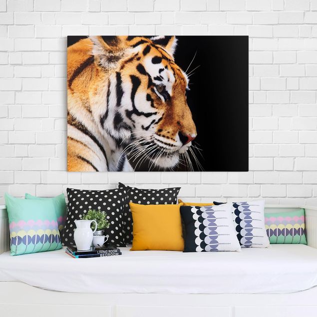 Wandbilder Löwe Tiger Schönheit