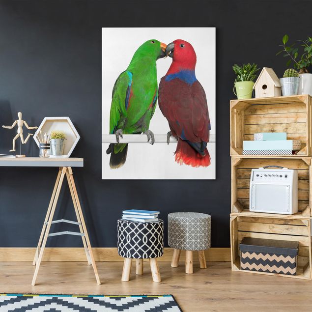 Leinwand Vogel Verliebte Papageien
