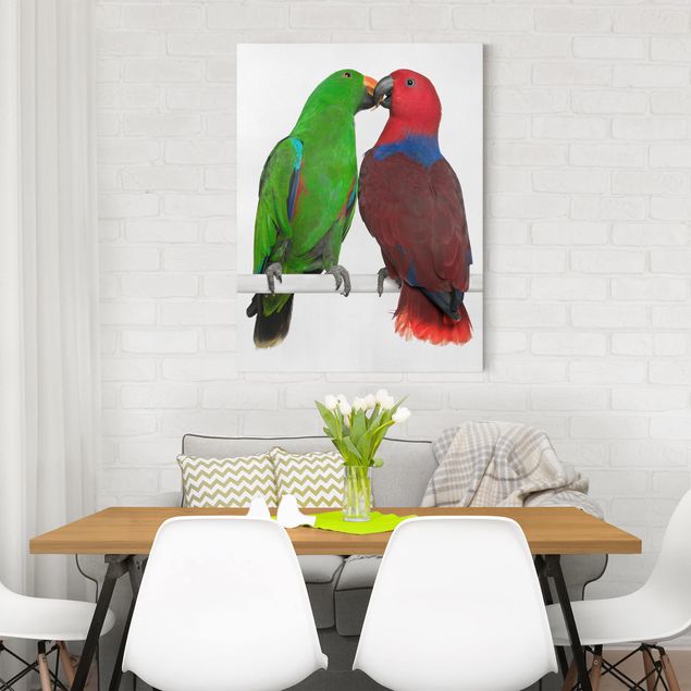 Wandbilder Tiere Verliebte Papageien