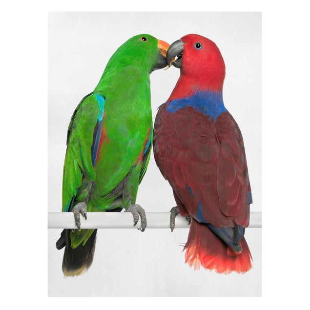 Moderne Leinwandbilder Wohnzimmer Verliebte Papageien