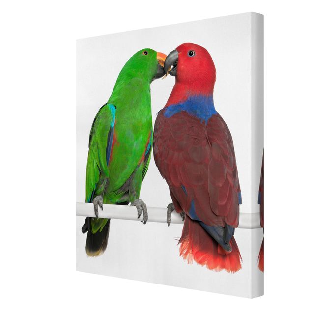 Bilder für die Wand Verliebte Papageien