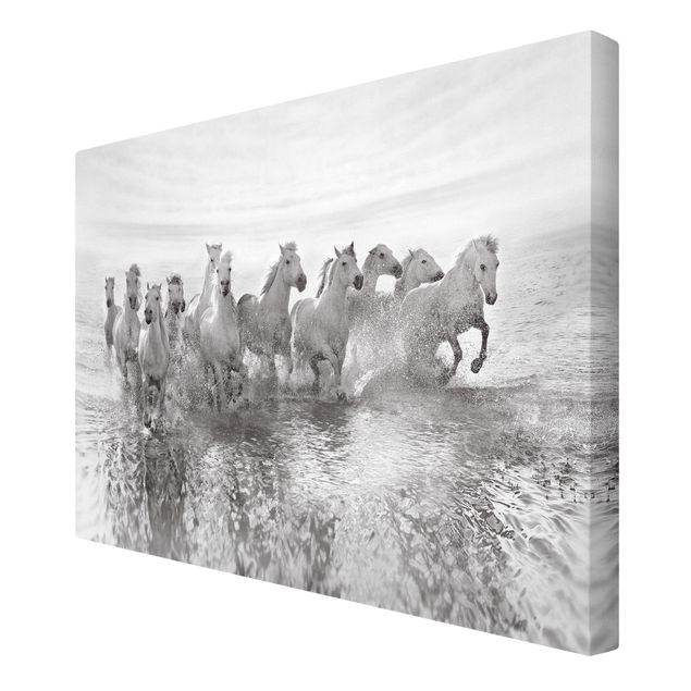 Wandbild  Leinwandbild Kunstdruck 15F0076080 Weiße Pferde galoppiert auf dem Was 
