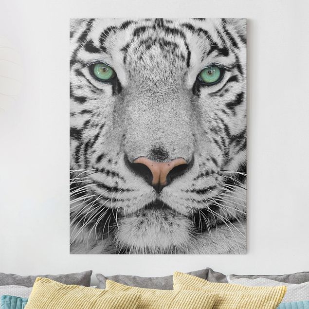 Wandbilder XXL Weißer Tiger