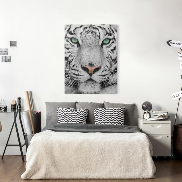 Wandbilder Löwe Weißer Tiger