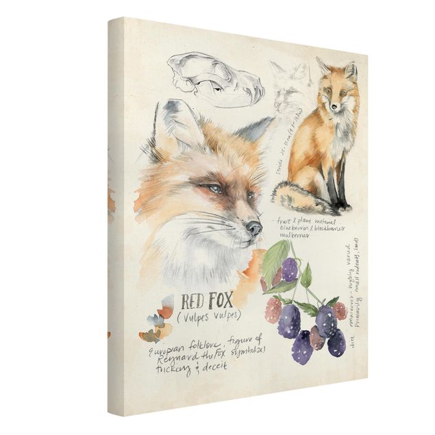 Kunstdrucke auf Leinwand Wildnis Journal - Fuchs