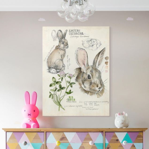 Wandbilder XXL Wildnis Journal - Kaninchen