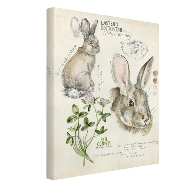 Kunstdrucke auf Leinwand Wildnis Journal - Kaninchen