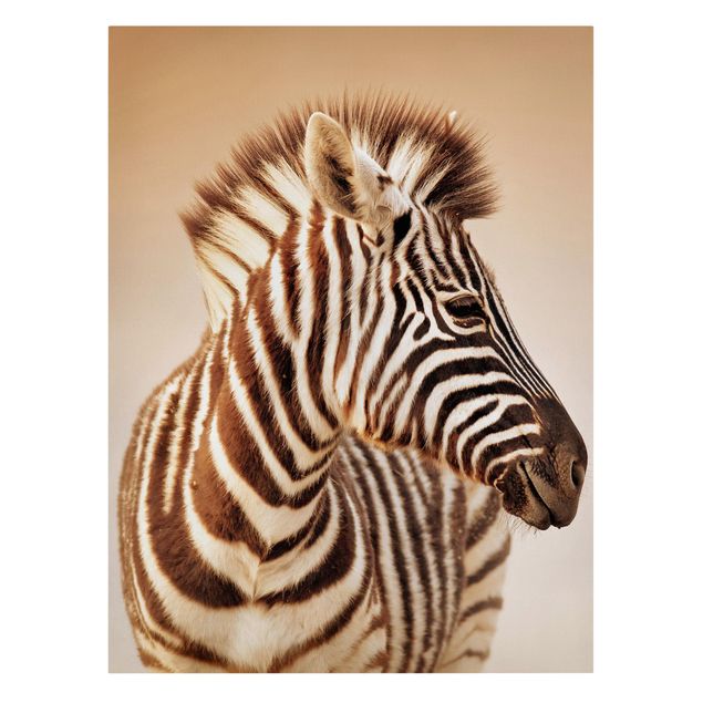 Leinwandbilder Wohnzimmer modern Zebra Baby Portrait