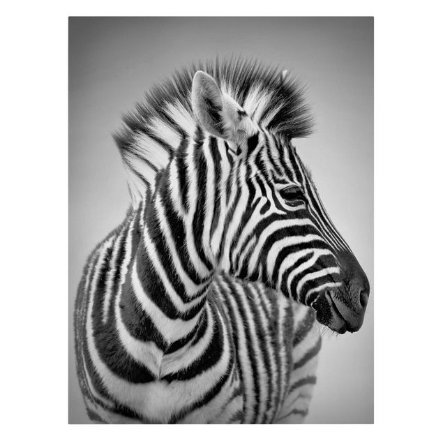 Tierbilder auf Leinwand Zebra Baby Portrait II