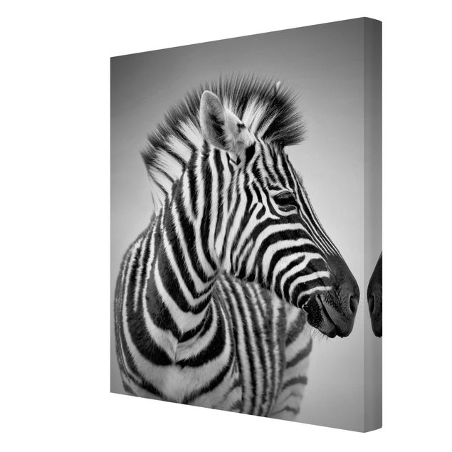 Moderne Leinwandbilder Wohnzimmer Zebra Baby Portrait II