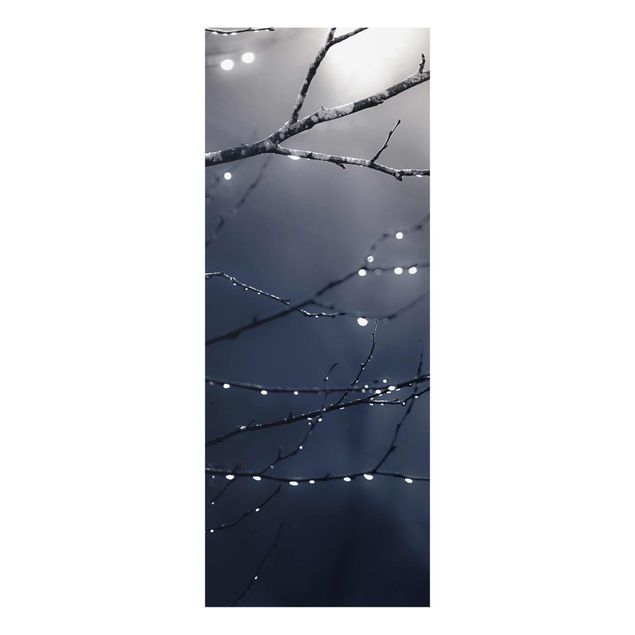 Bilder auf Glas Lichttropfen am Birkenzweig