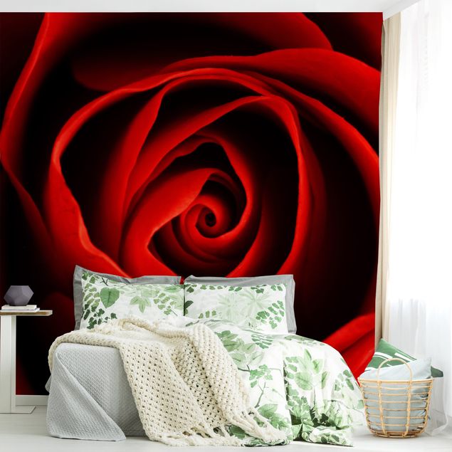 Romantische Schlafzimmer Tapete Liebliche Rose