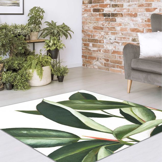 Teppich grün Lieblingspflanzen - Gummibaum