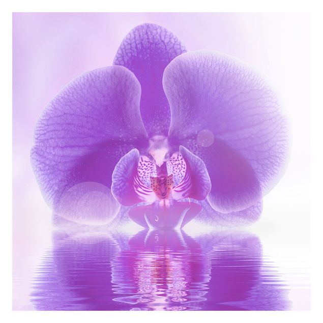 Fototapete Lila Orchidee auf Wasser