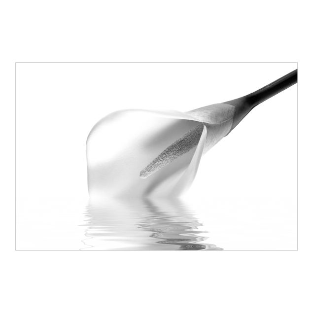 Design Tapete Liquid Calla Schwarz-Weiß