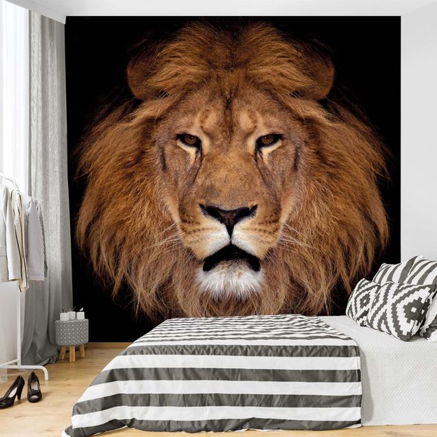 Wandtapete Tiere Löwengesicht