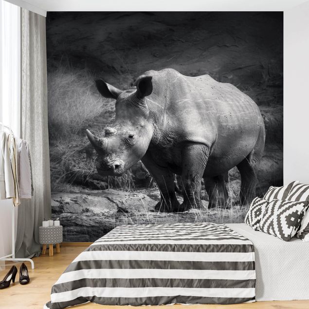 Wandtapete Tiere Lonesome Rhinoceros