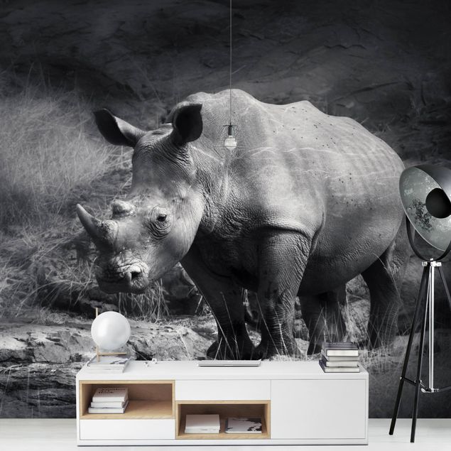 Fototapete Design Lonesome Rhinoceros