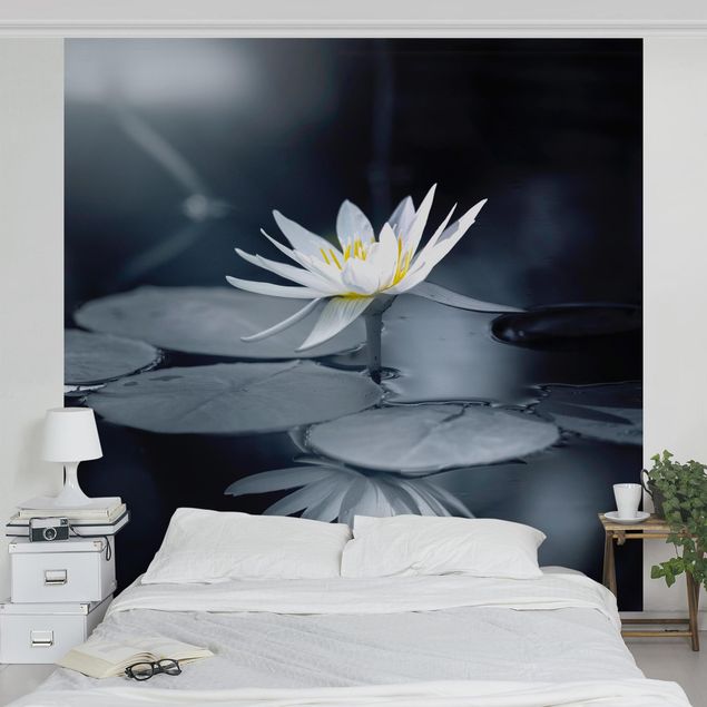 Fototapete Blumen Lotus Spiegelung im Wasser