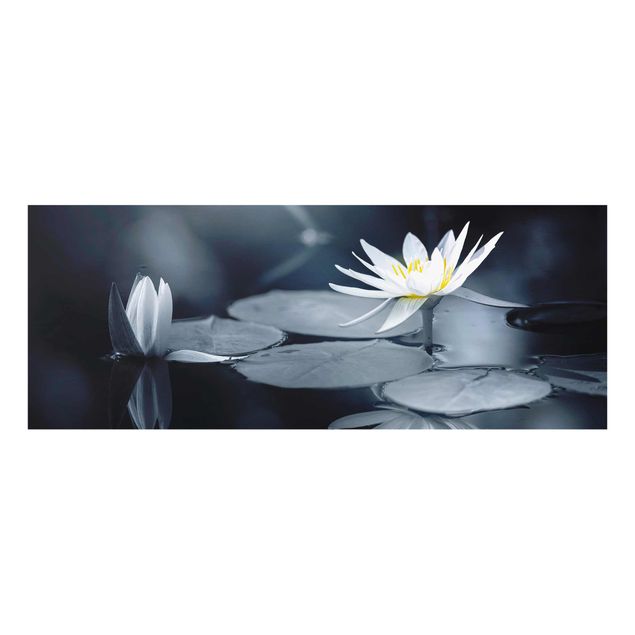 Glasbilder Lotus Spiegelung im Wasser
