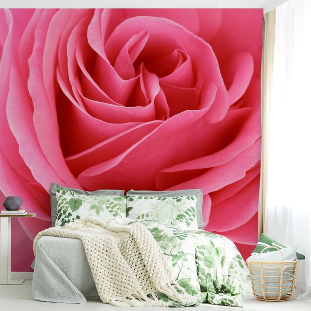 Tapete Blumen Lustful Pink Rose