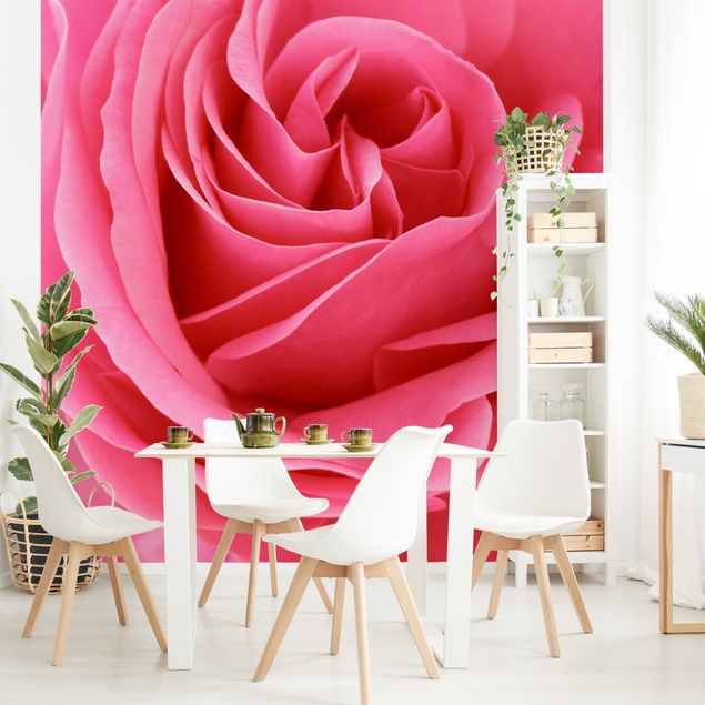 Tapeten modern Lustful Pink Rose