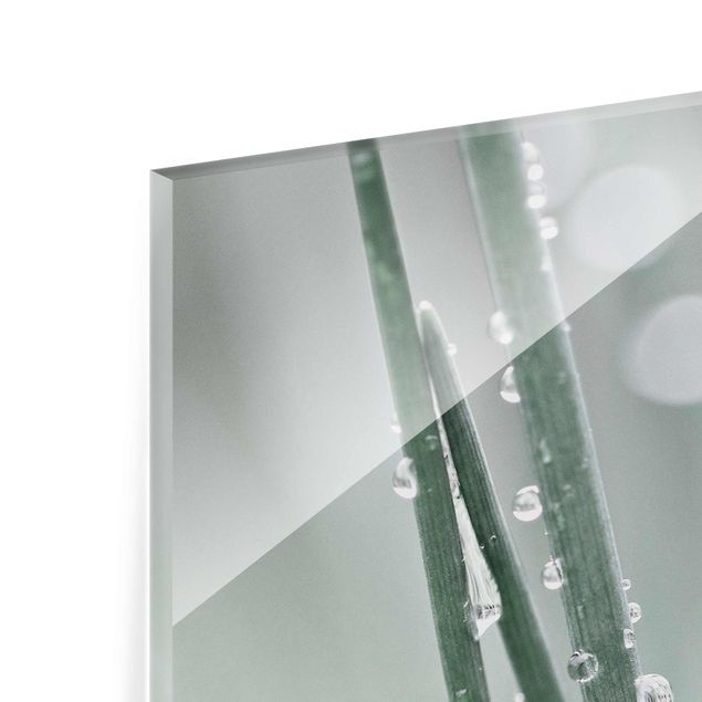 Glasbild - Makroaufnahme Wasserperlen am Gras - Hochformat