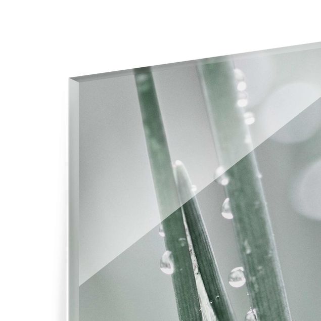 Glasbild - Makroaufnahme Wasserperlen am Gras - Hochformat