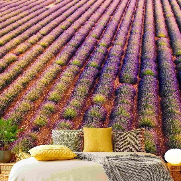Tapete Wellness Malerisches Lavendelfeld
