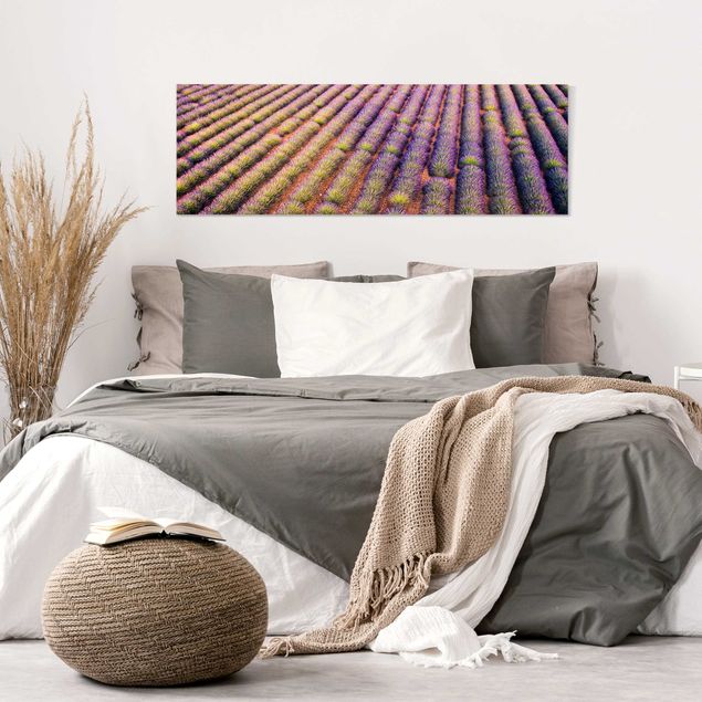 Leinwandbilder Wohnzimmer modern Malerisches Lavendelfeld