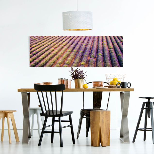 Schöne Wandbilder Malerisches Lavendelfeld