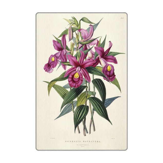 Violett Teppich Maxim Gauci - Orchidee I