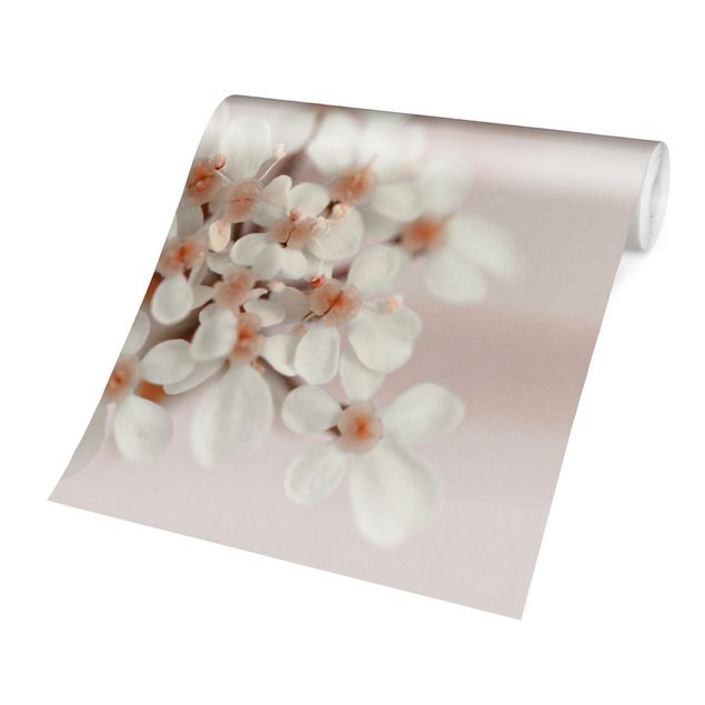 Design Tapete Miniblüten im Rosanen Licht