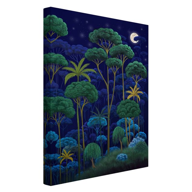 Wandbilder Natur Mitternacht im Regenwald
